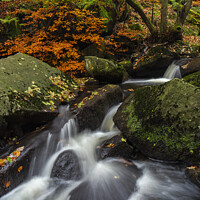 Buy canvas prints of Enchanting Autumnal Waterfall in Padley Gorge by Steven Nokes