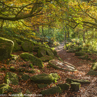 Buy canvas prints of Enchanting Autumnal Padley Gorge by Steven Nokes