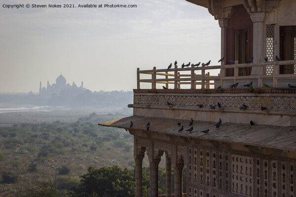 Majestic Taj Mahal Agra Fort Picture Board by Steven Nokes
