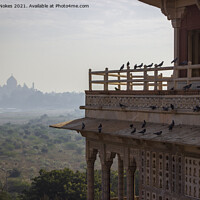 Buy canvas prints of Majestic Taj Mahal Agra Fort by Steven Nokes