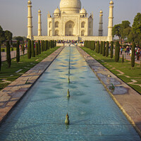 Buy canvas prints of Majestic Taj Mahal at Sunset by Steven Nokes