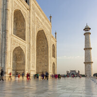 Buy canvas prints of Majestic Beauty of Taj Mahal by Steven Nokes
