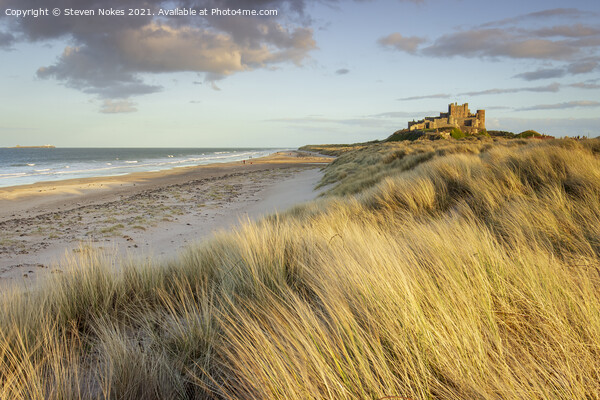 Golden Hour at Bamburgh Castle Picture Board by Steven Nokes