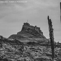 Buy canvas prints of Majestic Lindisfarne Castle Standing Tall by Steven Nokes