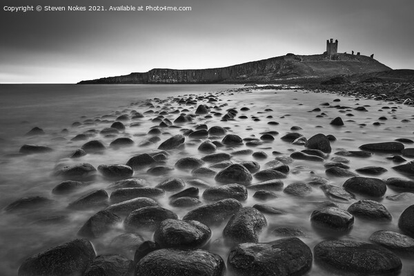 Majestic Ruins of Dunstanburgh Castle Picture Board by Steven Nokes