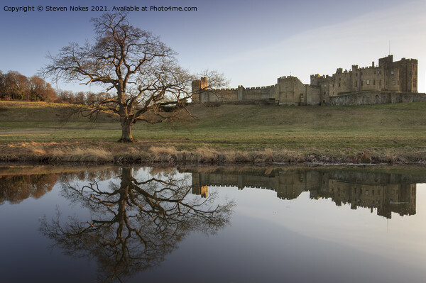 Majestic Alnwick Castle in Golden Reflections Picture Board by Steven Nokes