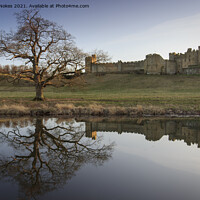 Buy canvas prints of Majestic Alnwick Castle in Golden Reflections by Steven Nokes