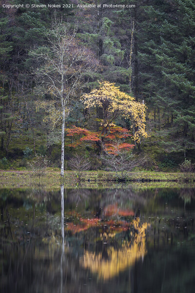 Serene beauty in Glencoe Lochan Picture Board by Steven Nokes