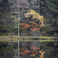 Buy canvas prints of Serene beauty in Glencoe Lochan by Steven Nokes
