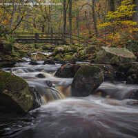 Buy canvas prints of Tranquil Autumn Stream by Steven Nokes