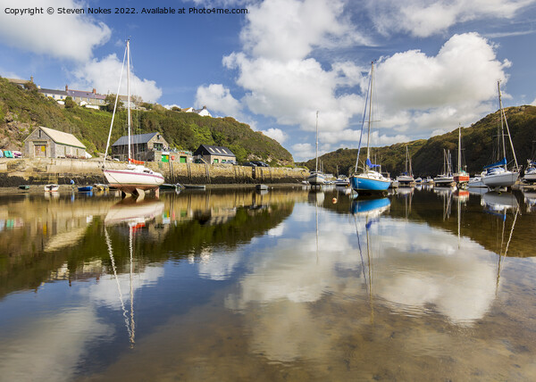 Serene Reflections in Solva Harbour Picture Board by Steven Nokes