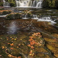 Buy canvas prints of Majestic Autumn Waterfall by Steven Nokes