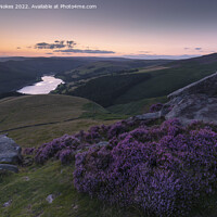 Buy canvas prints of Purple Heather Sunset on Derwent Edge by Steven Nokes