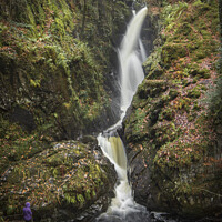 Buy canvas prints of The Enchanting Aira Force Waterfall by Steven Nokes