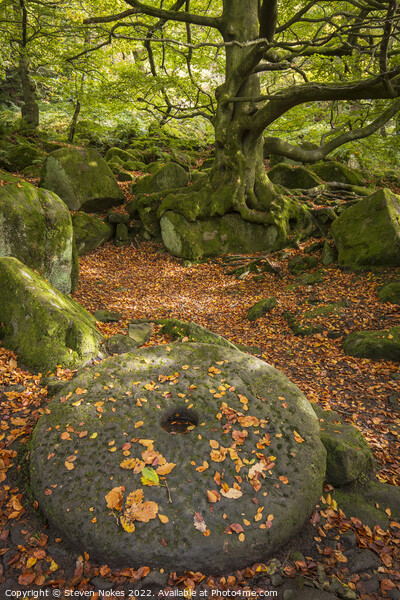 Ancient Relics of Padley Gorge Picture Board by Steven Nokes