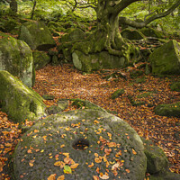 Buy canvas prints of Ancient Relics of Padley Gorge by Steven Nokes