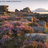 Buy canvas prints of Majestic Heather Overlooking Peak District by Steven Nokes