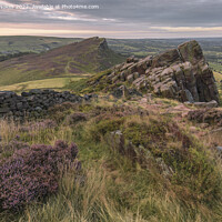 Buy canvas prints of Heather blooms at Roaches by Steven Nokes
