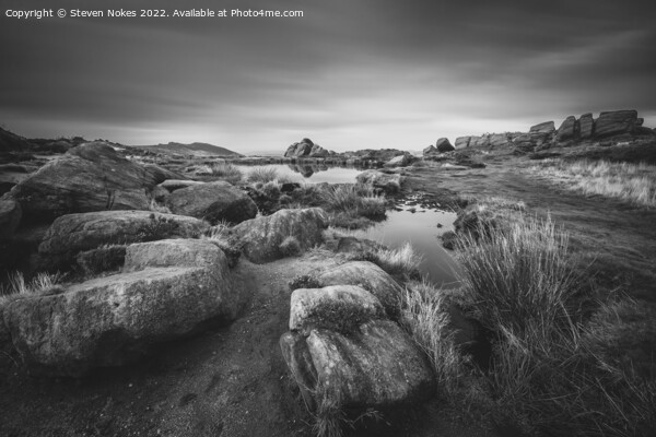 Tranquil Beauty at Doxey Pool Picture Board by Steven Nokes