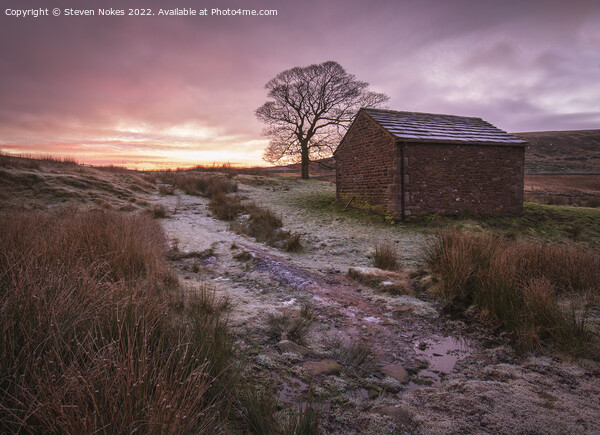 Majestic Sunrise at Wildboarclough Barn Picture Board by Steven Nokes