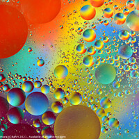 Buy canvas prints of Rainbow by Tamara Al Bahri