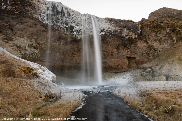 Seljalandsfoss Waterfall, Iceland Picture Board by Tamara Al Bahri
