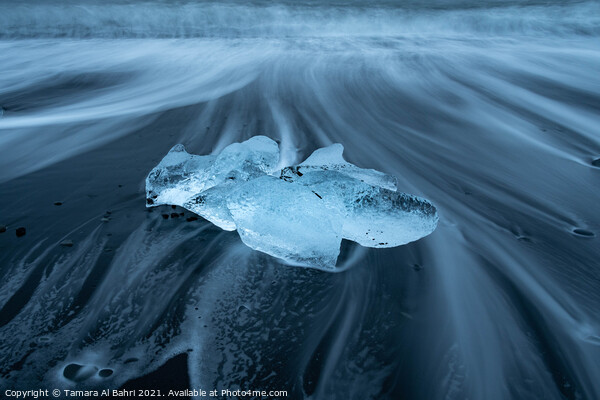 Diamond Beach Iceberg, Iceland Picture Board by Tamara Al Bahri