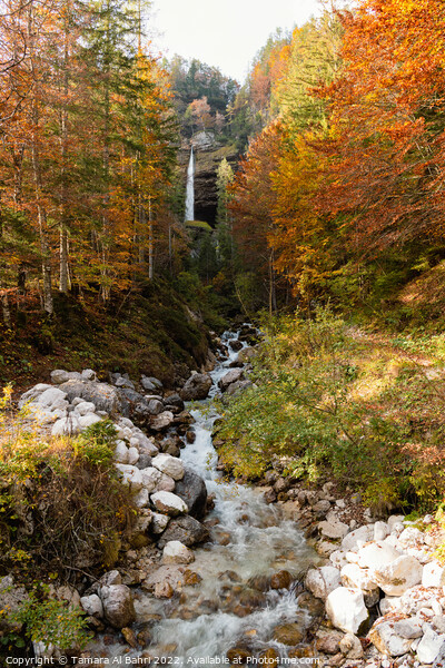 Slap Peričnik in Autumn, Slovenia Picture Board by Tamara Al Bahri