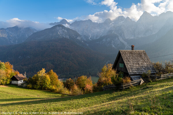Slovenian Mountain Hut in Srednji Vrh Picture Board by Tamara Al Bahri