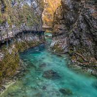 Buy canvas prints of Vintgar Gorge, Slovenia by Tamara Al Bahri
