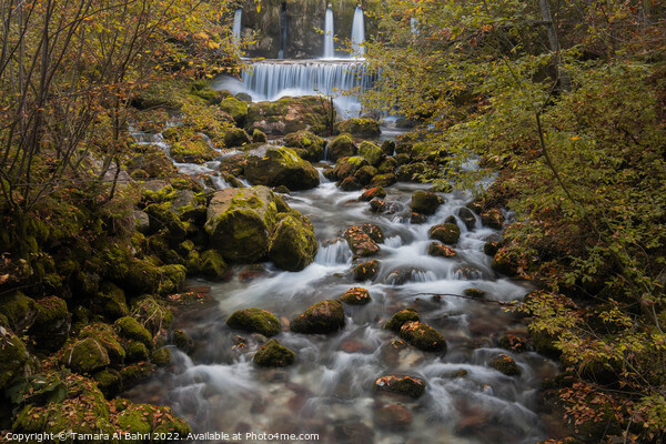 Kroparica Stream, Slovenia Picture Board by Tamara Al Bahri