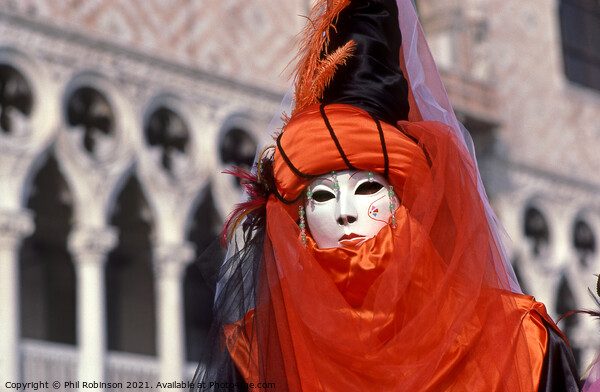 Venice Carnival 1 Picture Board by Phil Robinson