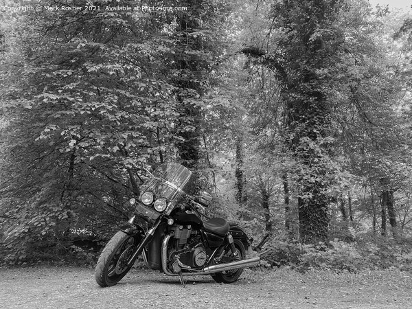 A Triumph Thunderbird Storm motorcycle parked beneath trees on a sunny day, in mono Picture Board by Mark Rosher