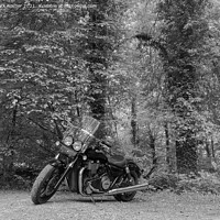 Buy canvas prints of A Triumph Thunderbird Storm motorcycle parked beneath trees on a sunny day, in mono by Mark Rosher