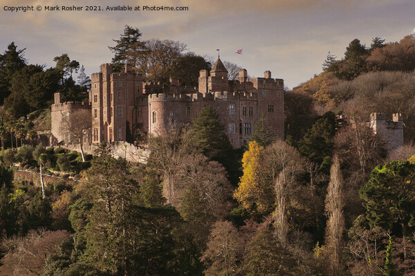 Dunster Castle in Autumn Sunlight Picture Board by Mark Rosher