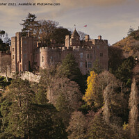 Buy canvas prints of Dunster Castle in Autumn Sunlight by Mark Rosher