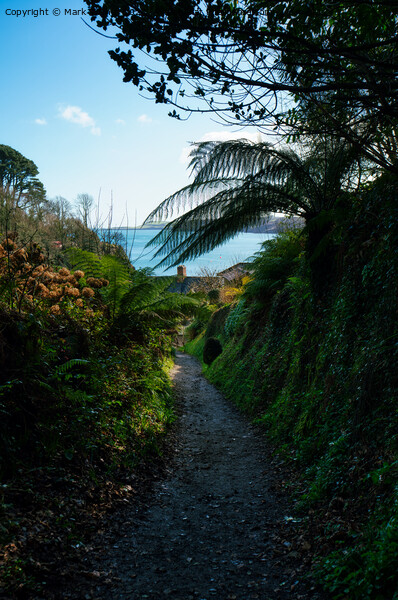 The Path to Glendurgan Bay Picture Board by Mark Rosher