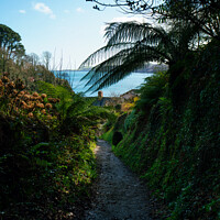 Buy canvas prints of The Path to Glendurgan Bay by Mark Rosher