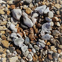 Buy canvas prints of Pebble Love Heart on Southsea Beach by Stephen Coughlan