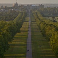Buy canvas prints of The Long Walk, Windsor by Stephen Coughlan