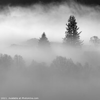 Buy canvas prints of Trees in Mist by Jon Pear