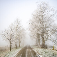 Buy canvas prints of Frosted Trees by Jon Pear