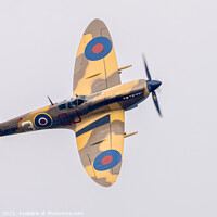 Buy canvas prints of Spitfire MkIX by Jon Pear
