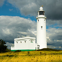 Buy canvas prints of Hurst Point Lighthouse, Hampshire, UK by Elzbieta Sosnowski