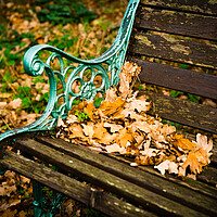 Buy canvas prints of The Garden Bench in Autumn by Gerry Walden LRPS