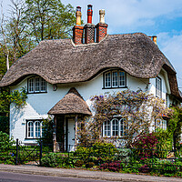 Buy canvas prints of Beehive Cottage, Lyndhurst by Gerry Walden LRPS