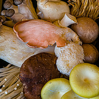 Buy canvas prints of Mixed edible fungi by Gerry Walden LRPS