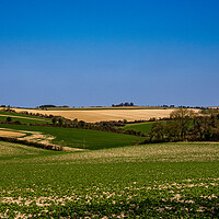 Buy canvas prints of Chalk downlands, Hampshire by Gerry Walden LRPS