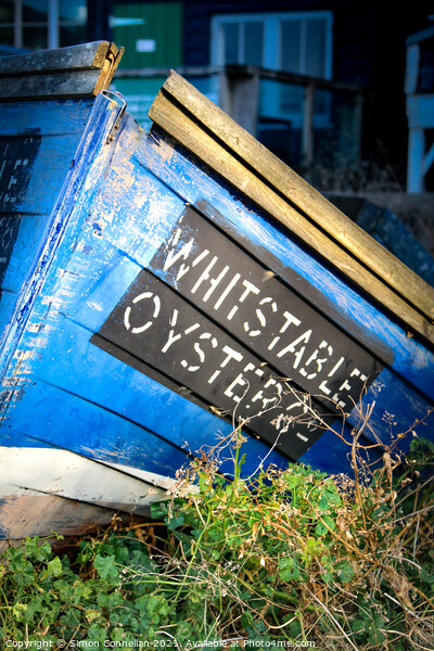Whitstable Oysters Picture Board by Simon Connellan