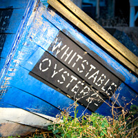 Buy canvas prints of Whitstable Oysters by Simon Connellan